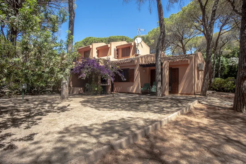 Villa in the pine forest by the sea in Sardinia - Image 1