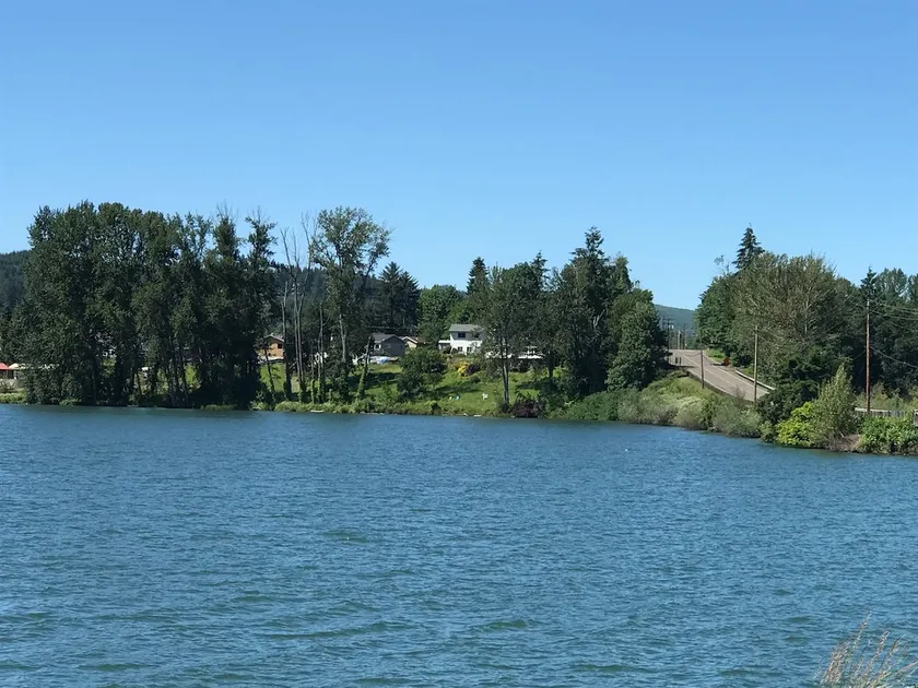 Lake Front - incredible views of Dexter Lake and only 22 minutes to U of O! - Image 1