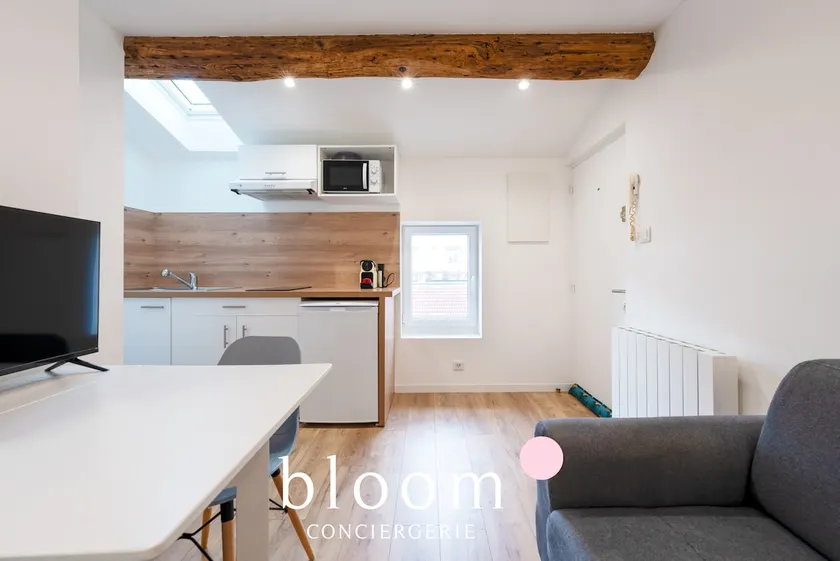Beautiful apartment in the city center - Image 1