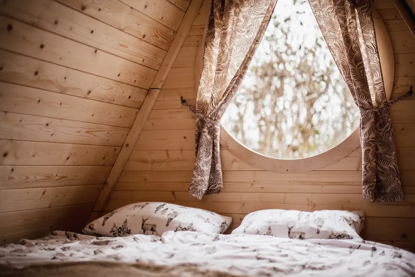 Scandinavian-style forest cabin with firepit - Image 1