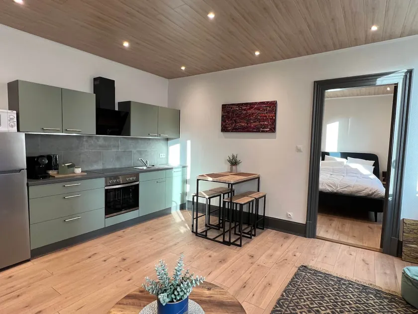 Charming apartment type F2 Mulhouse city - Image 1