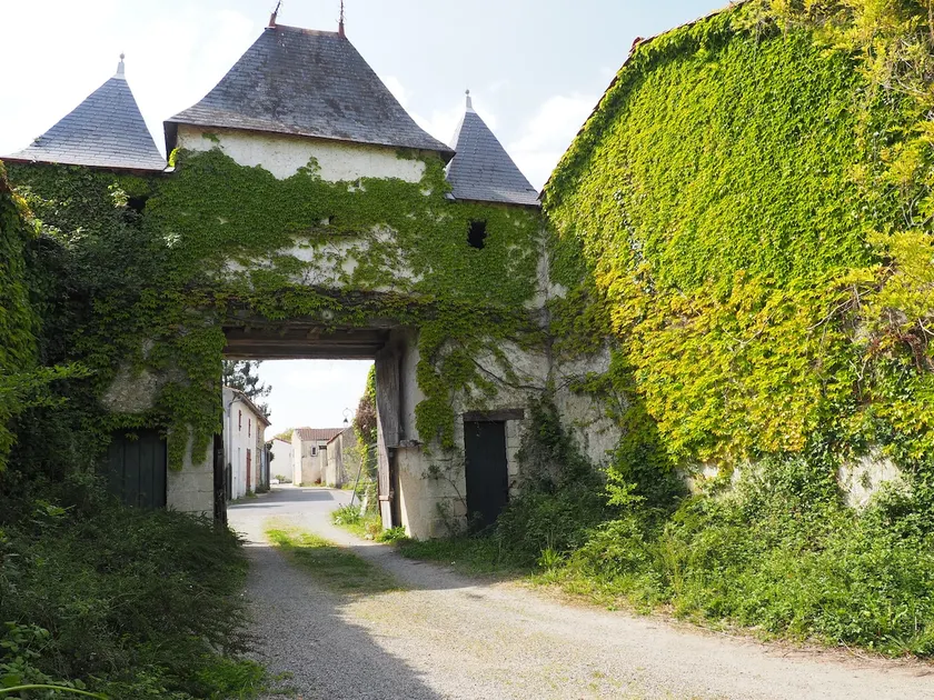 Château de Parançay - 15-person lodge - Image 1