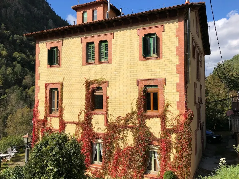 Loft apartment in the middle of the forest - Image 1
