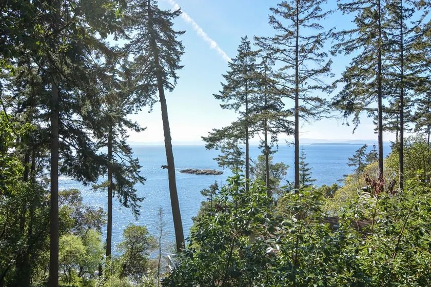San Juan Island, Orca übersehen # 112 - Image 1