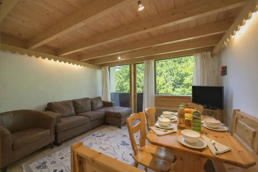 Residence Grand Roc - Ancolies 103 - Image 1