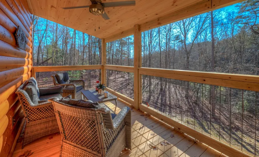 Not-so-Tiny cabin. King Bed and Secure Dog Yard. - Image 1