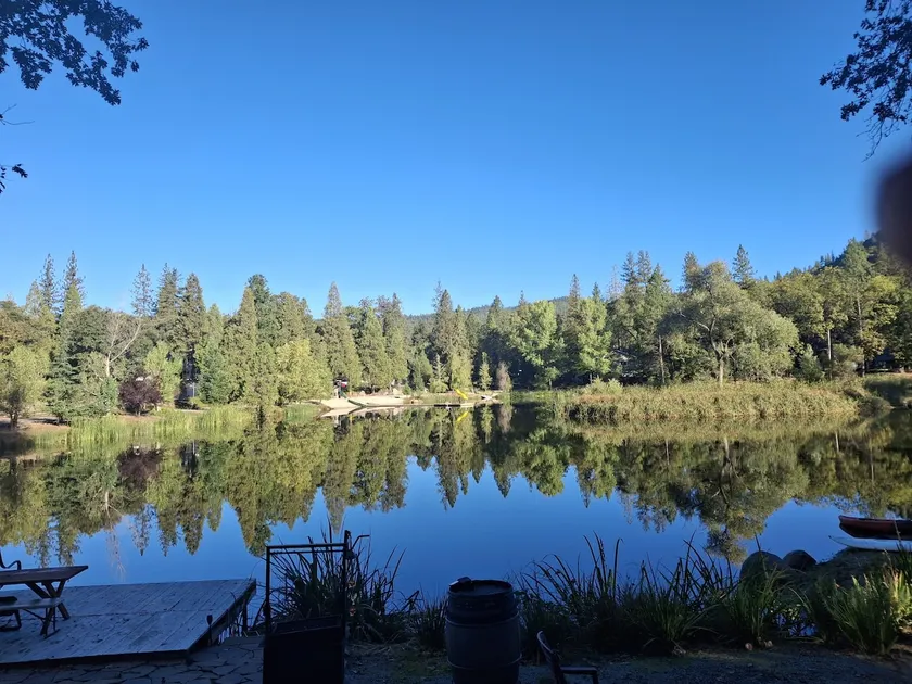 1BR Dog-friendly Lakefront Cabin w/ Canoes - Image 1