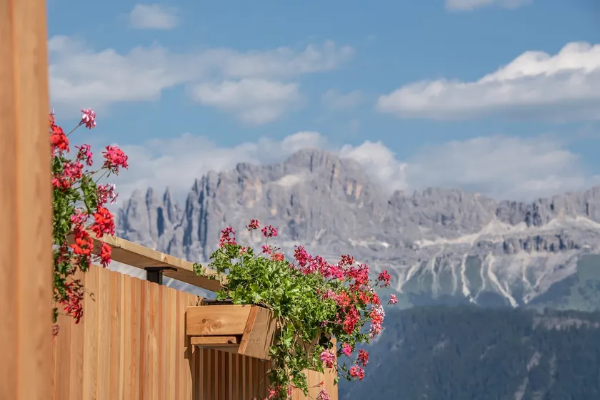 Ferienwohnung 'Furnerhof Apt Stearnzauber' mit Bergblick, Gemeinschaftsgarten und WLAN - Image 1
