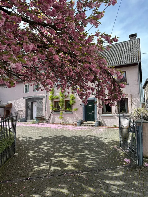 Vacation home (apartment 1+2 in former winery) - Image 1