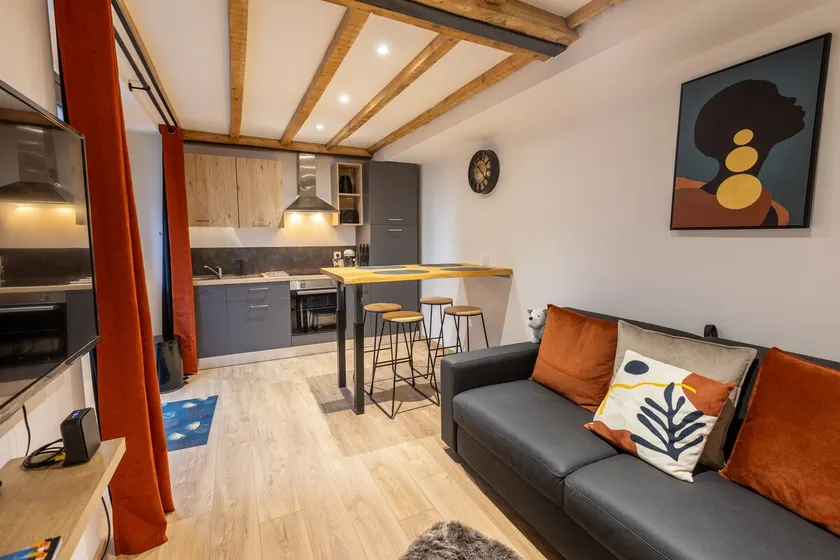 Le Repaire des Écureuils - Appt avec terrasse - Image 1