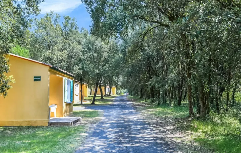 Lovely Holiday Home in Saint-Savinien with Garden - Image 1
