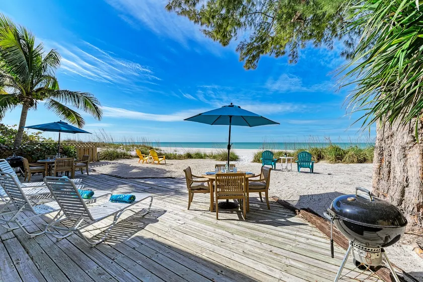 Fins to the Right: On the Gulf of Mexico! Beach! - Image 1