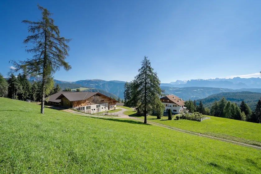 Stücklhof Wohnung Rose - Image 1