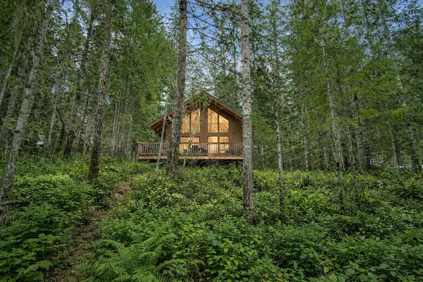 Staircase Rapids Retreat at Lake Cushman, Sleeps 6 - Image 1
