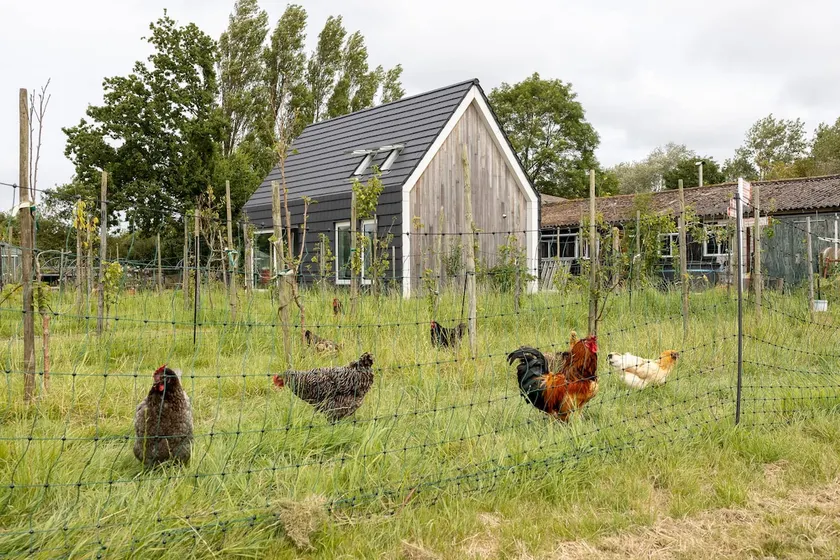 Idyllic holiday home in Aagtekerke | Kalfhoeksepad - Image 1