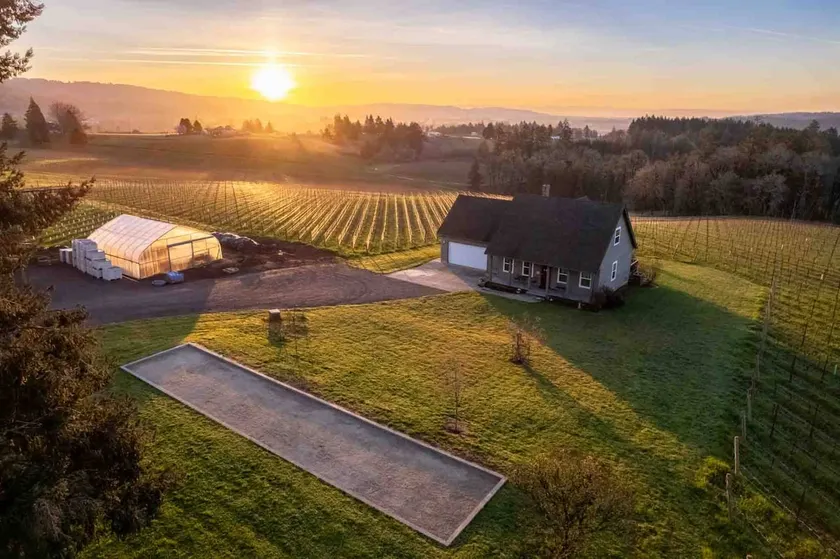 Picturesque Vineyard and Valley Views, Quiet and - Image 1