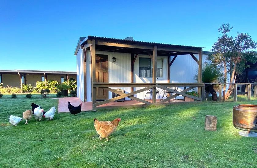 DONN4254S - Wilga Farm Stay - Shearer's Shack Single - Image 1