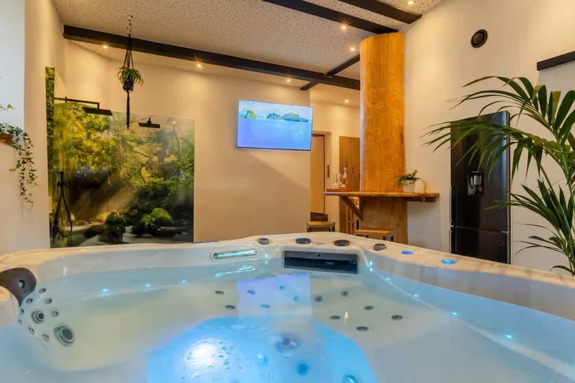 Tropical Wellness Suite I Sauna I Whirlpool I Hot Tub I TV I BBQ - Image 1