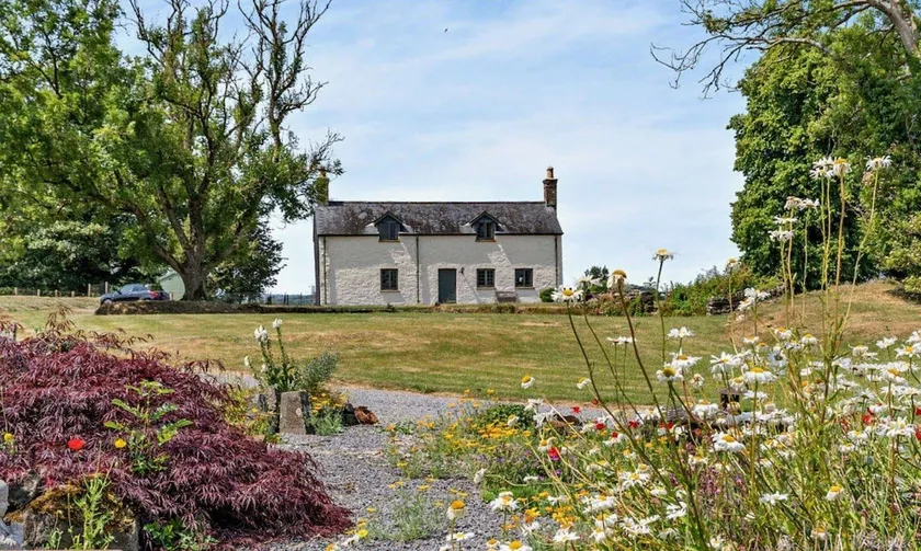 Charming Farmhouse Retreat with Stunning Views - Image 1