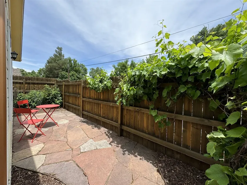 Enchanting Grapevine Alley - Image 1