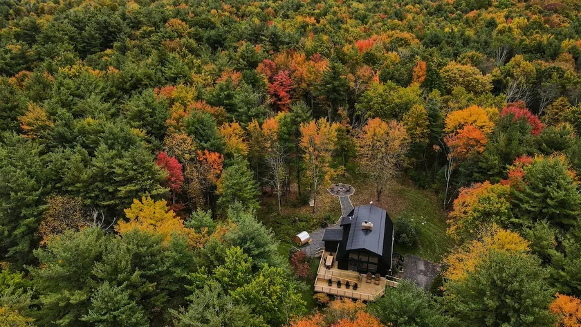 Luxury Forest Retreat: Outdoor Sauna & Plunge Tubs - Image 1