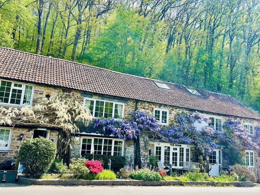 Devon 6-Bed Cottage with Country Views & Parking - Image 1