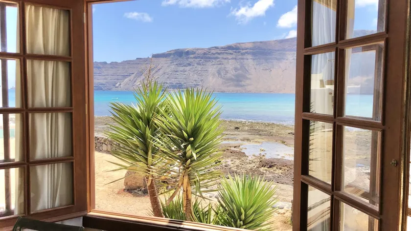 Flor de Cactus, La Graciosa - Image 1