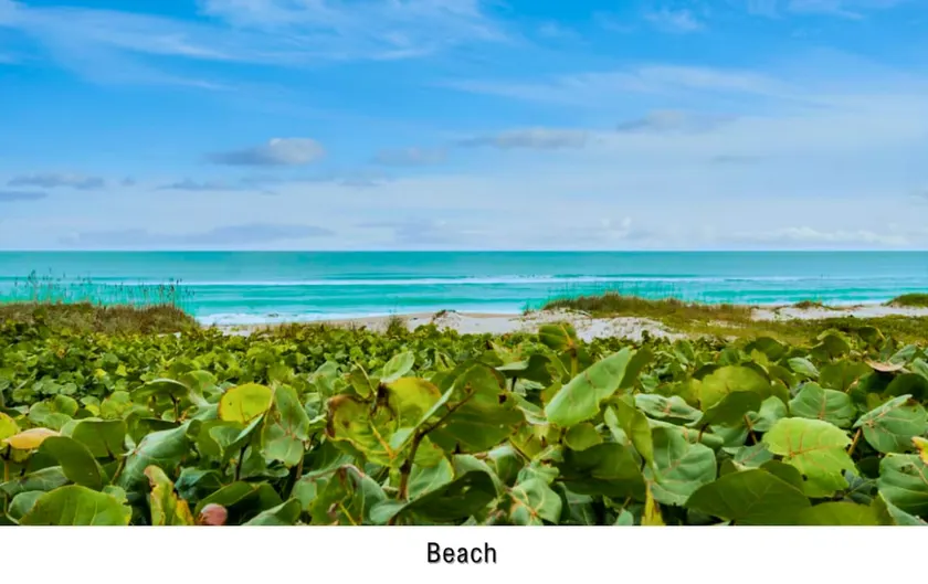 Stunning Beachfront Home with Breathtaking Views - Image 1