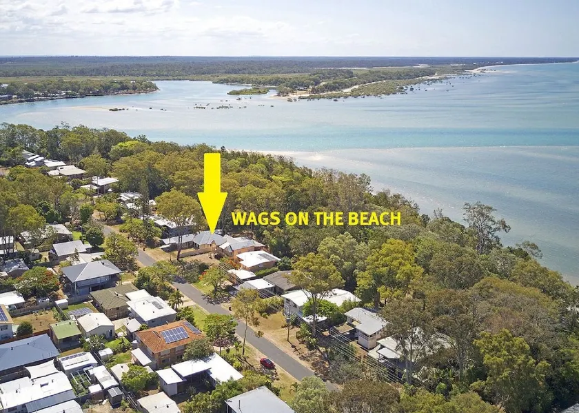 Wags On The Beach - Image 1