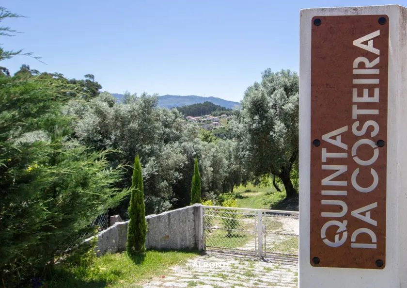 Quinta da Costeira - Blue House of Limoal - Image 1
