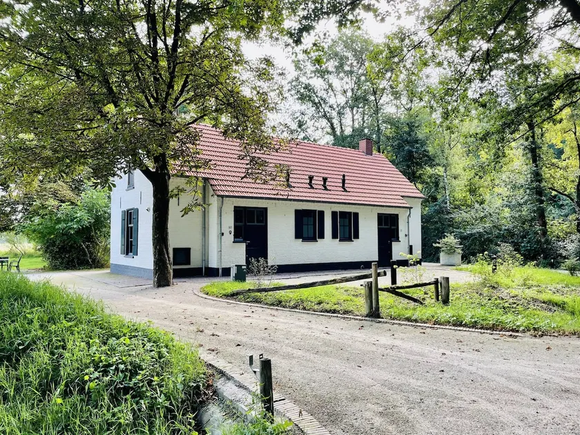 Cosy house in wooded surroundings - Image 1