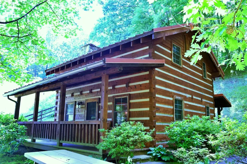 The Cove: Log Cabin! Pet Friendly! Fire Pit! - Image 1