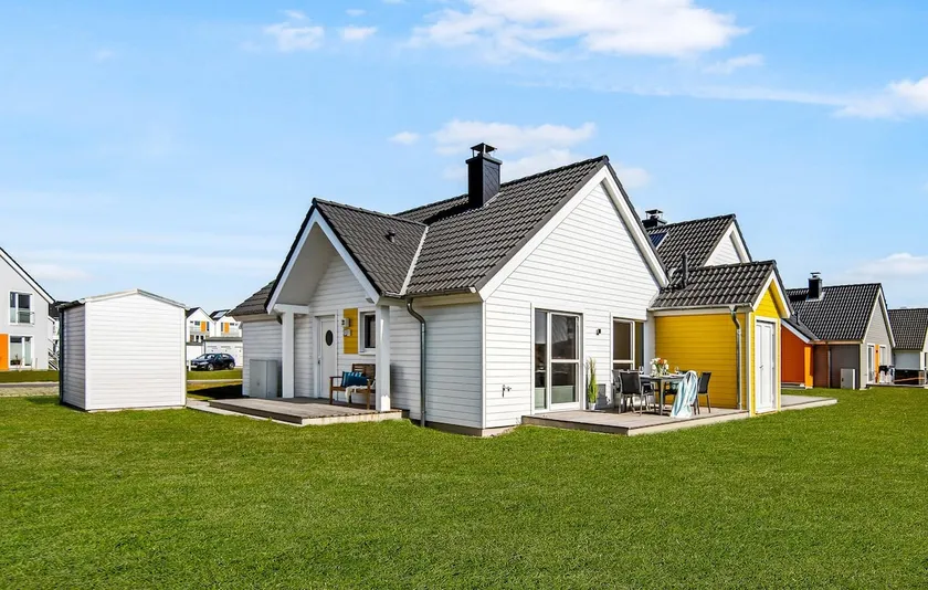 Strandnelke - Image 1