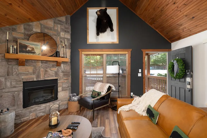 Lazy Bear Lodge II Pet Friendly Lodge, No Stairs - Image 1