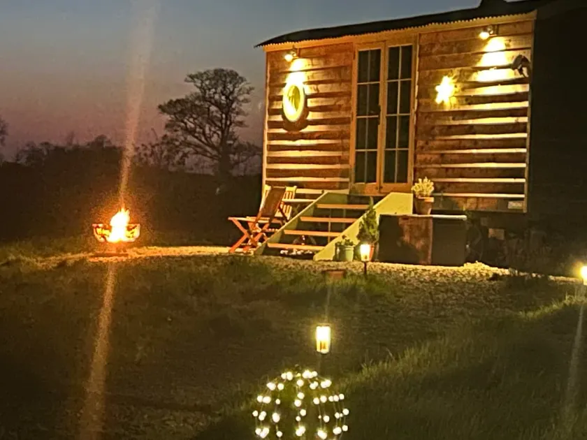 Cosy devon Hut woodland views - Image 1