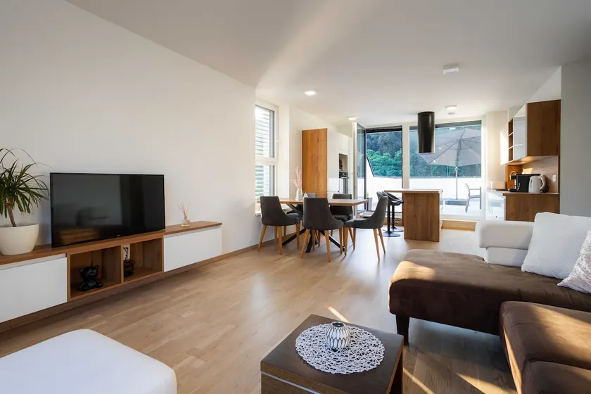 Two Bedroom Apartment with Terrace in Podčetrtek - Image 1