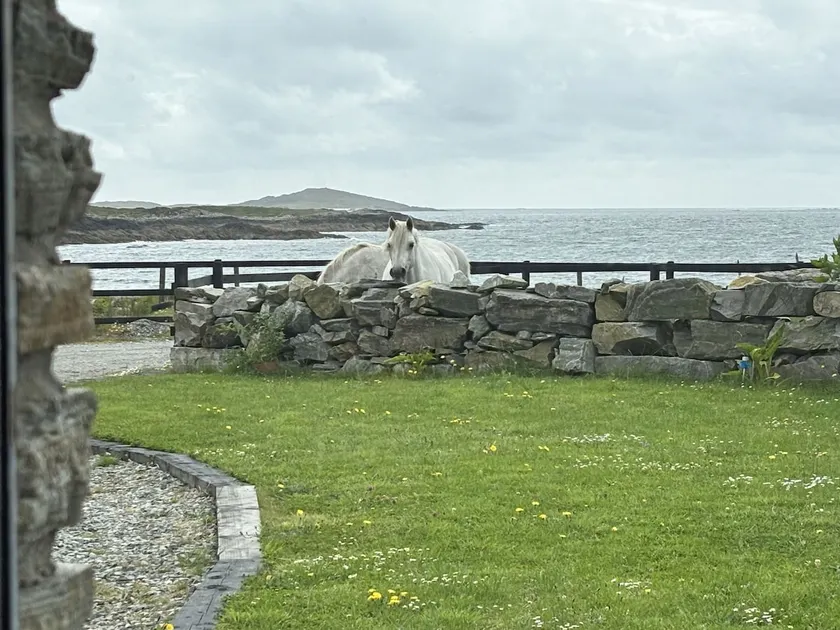 Apartment 471 - Clifden - Image 1