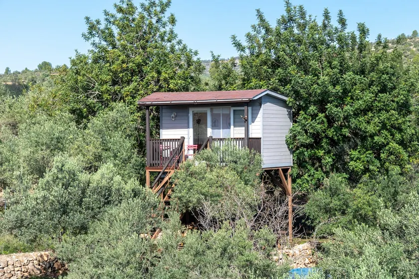 Treehouse - Image 1