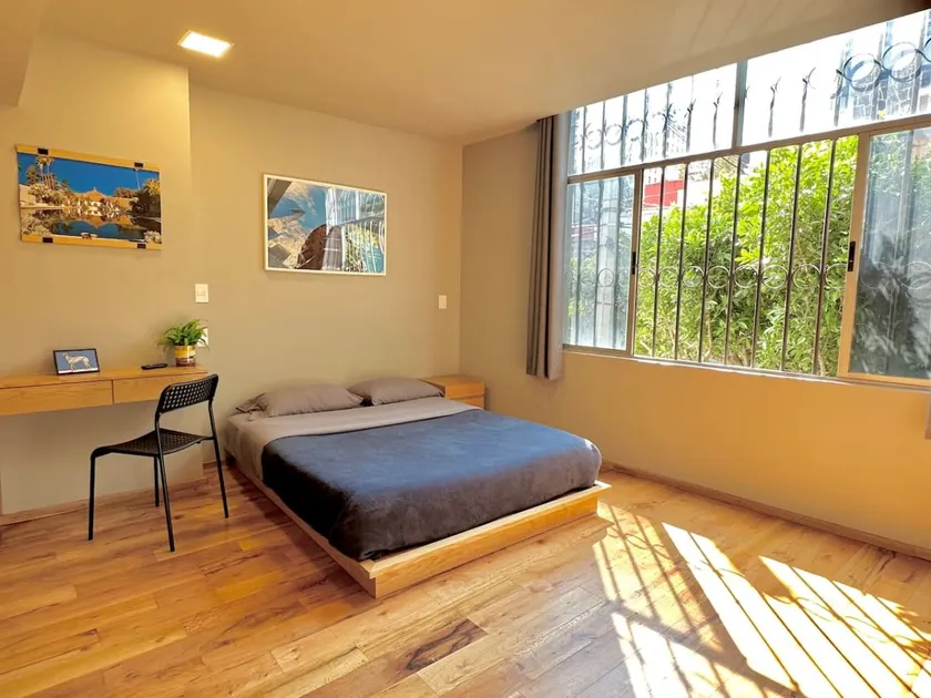 Polanco AAA Executive Suite with Lots of Light - Image 1