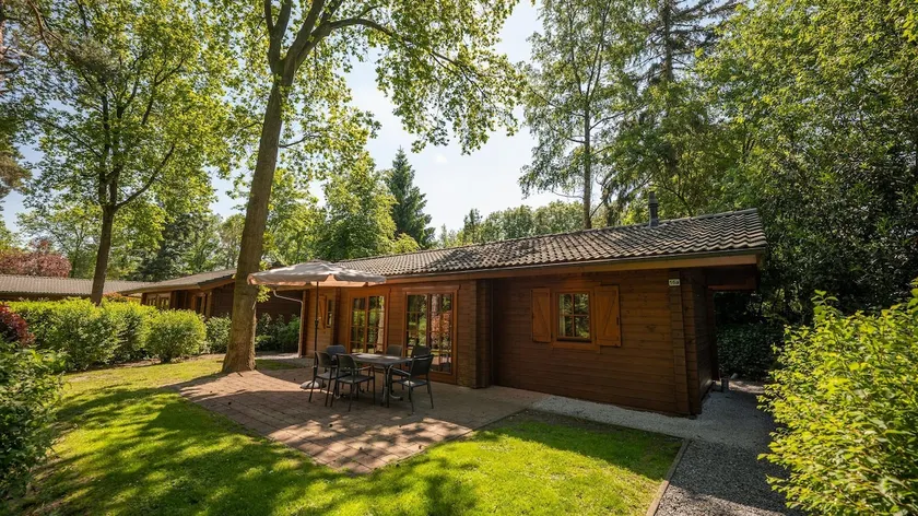 Boekhorst 6 | EuroParcs The Achterhoek - Image 1