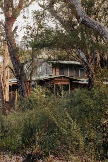 Bimbi Forest Eco Lodge - Denmark - Image 1