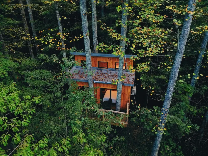 Parke's Stand- Treehouse - Image 1