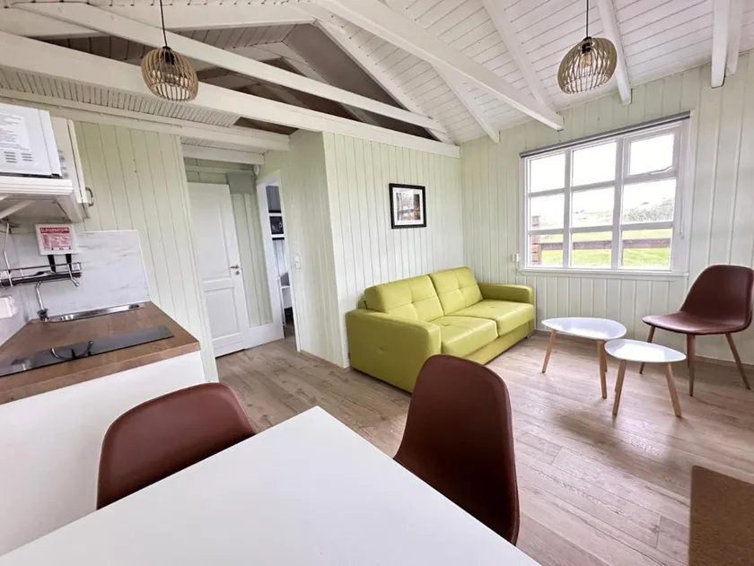 One Bedroom Cabin with Hot Tub - Heiðarból - Image 1