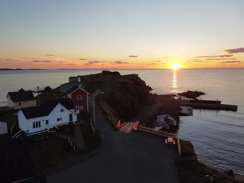 The Moose Twillingate Island - Image 1