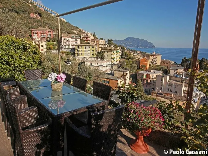Gli Ulivi Di Bogliasco - Olive Trees 3 - Image 1