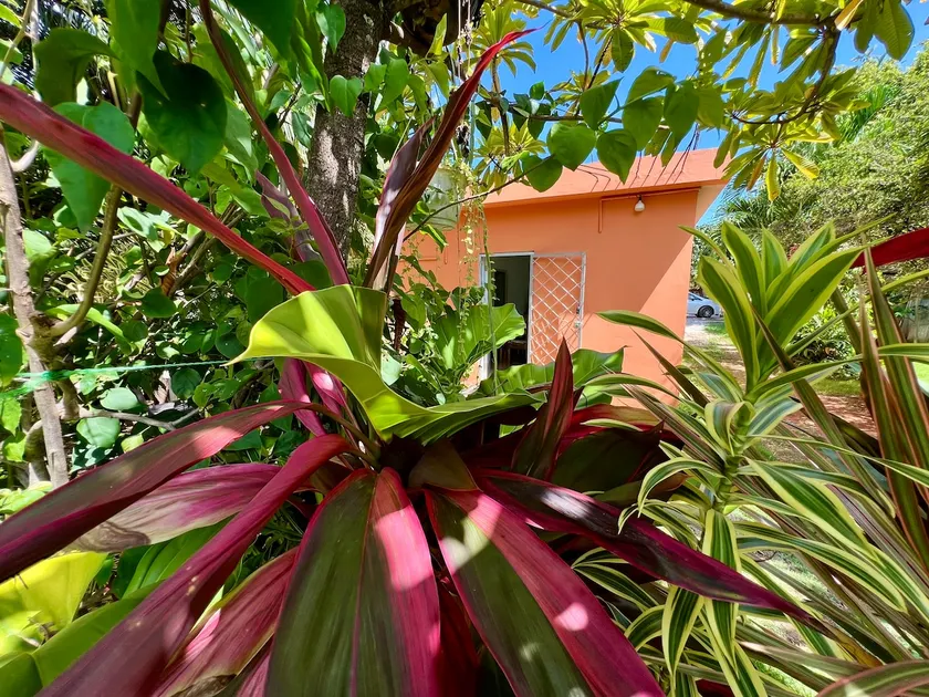 Garden House - Image 1