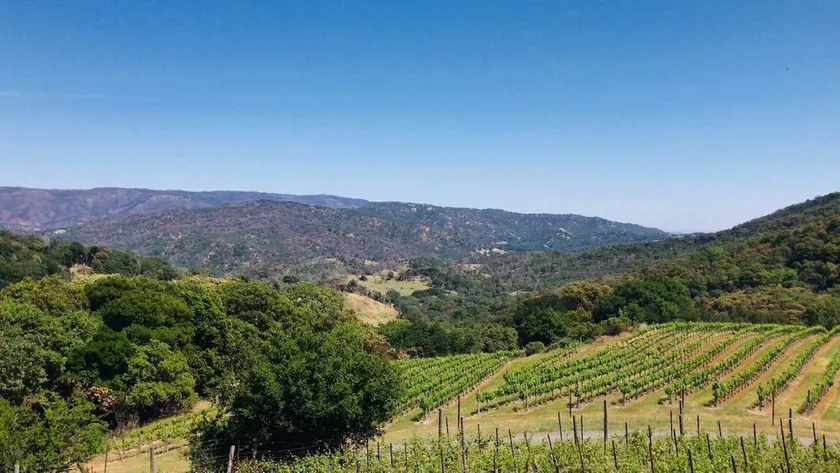 Napa Vineyard with Stunning Views By Allevo Homes - Image 1