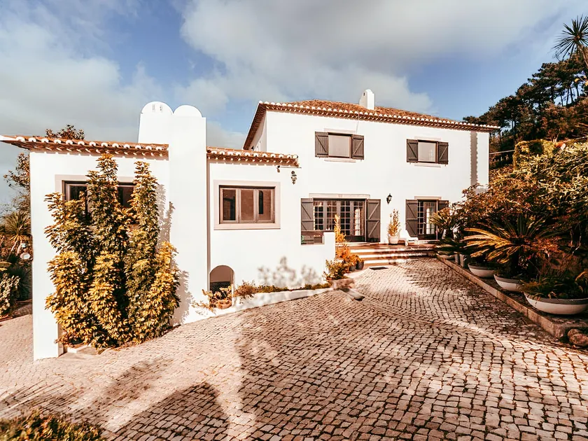 Oliveira's House By Gt House - Image 1