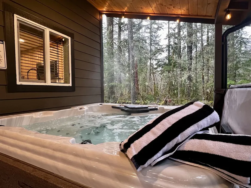 Mt Rainier Getaway | Hot Tub, Fire Pit, EV - Image 1