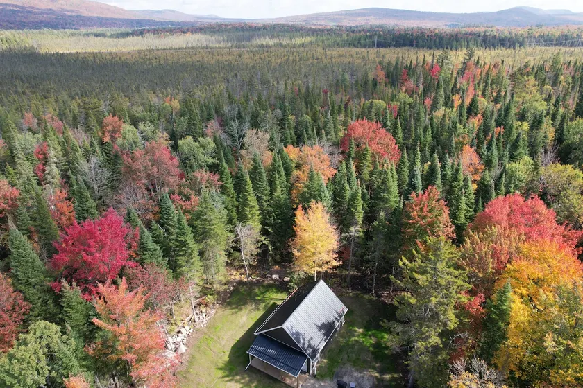 *Adirondack Cozy, Private Cabin* Pet Friendly* - Image 1